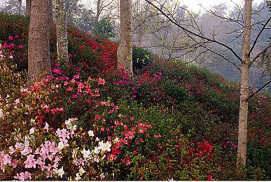 世嘉公布如龙名曲串烧 世嘉音乐工作室现场演奏